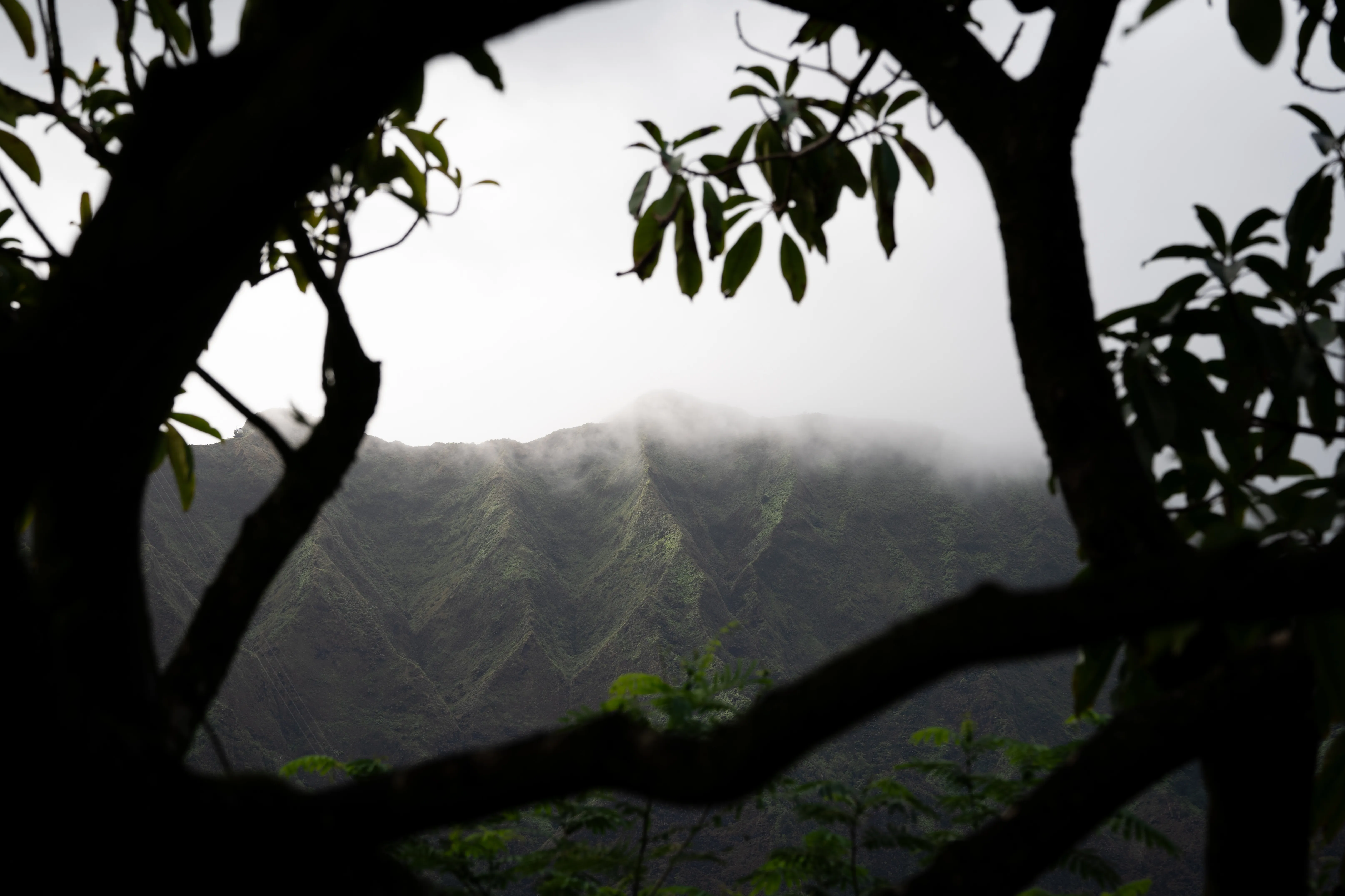 Outdoor photograph 1