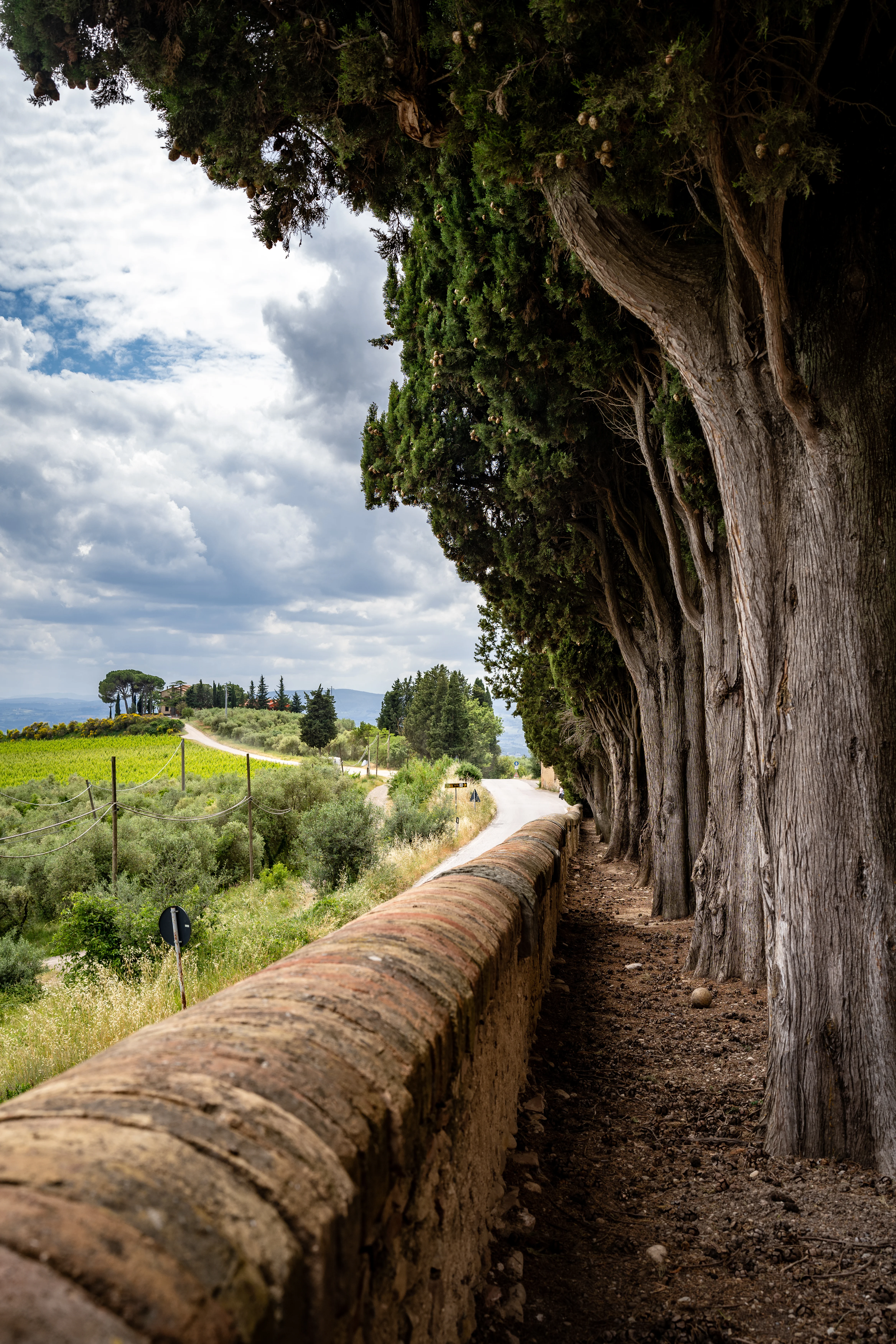 Street photograph 14